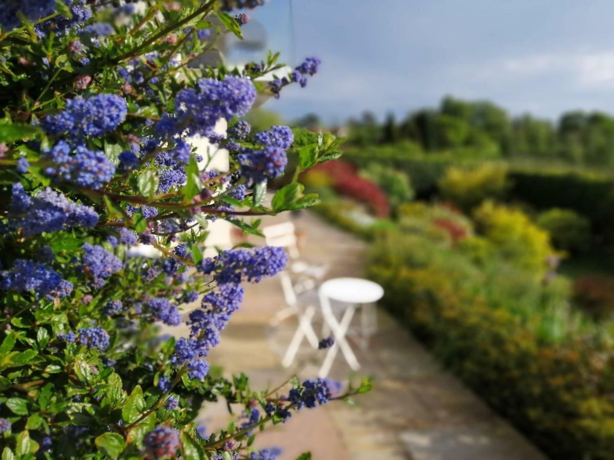 Meadow Cottage Bed & Breakfast Hawkhurst Zewnętrze zdjęcie