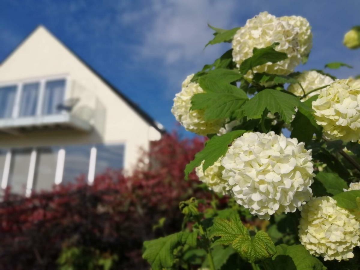 Meadow Cottage Bed & Breakfast Hawkhurst Zewnętrze zdjęcie